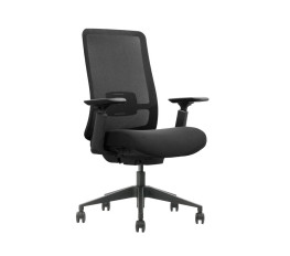 Scaun ergonomic 30.12.102